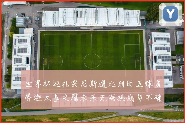 世界杯巡礼突尼斯遭比利时五球羞辱迦太基之鹰未来充满挑战与不确定性