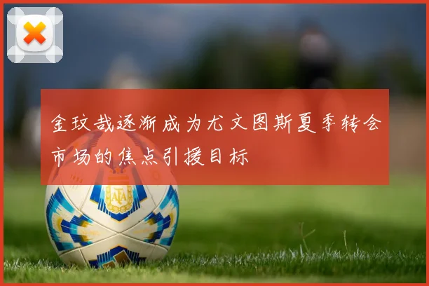 金玟哉逐渐成为尤文图斯夏季转会市场的焦点引援目标