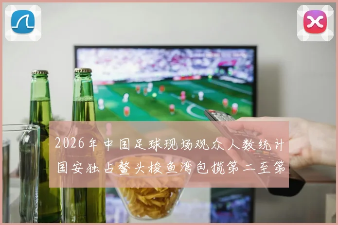 2026年中国足球现场观众人数统计国安独占鳌头梭鱼湾包揽第二至第七位